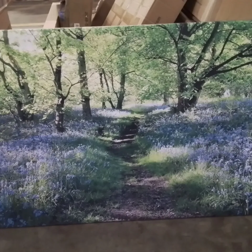 PATH THROUGH THE BLUEBELLS FOREST WRAPPED CANVAS PRINT