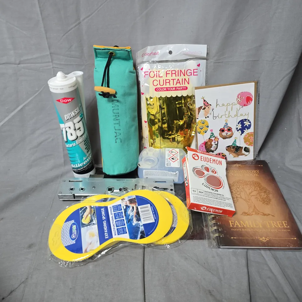 APPROXIMATELY 12 ASSORTED HOUSEHOLD ITEMS TO INCLUDE EXPANDING SPONGES, FOIL FRINGE CURTAINS, FAMILY TREE BOOK, ETC