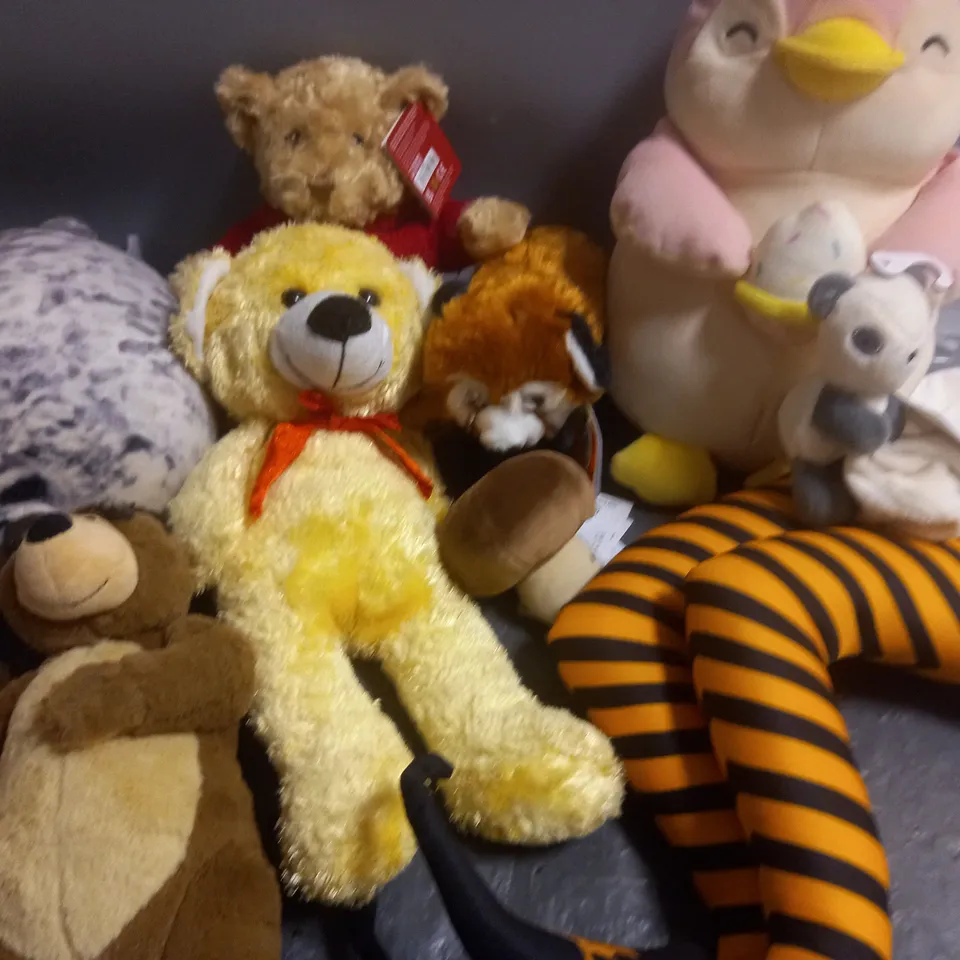 LOT OF 11 ASSORTED PLUSHIES