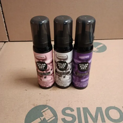 APPROXIMATELY 22 X ASSORTED MATRIX COLOR BLOW DRY HAIR CARE PRODUCTS TO INCLUDE BLOOMING ORCHARD, ASH BLONDE ETC