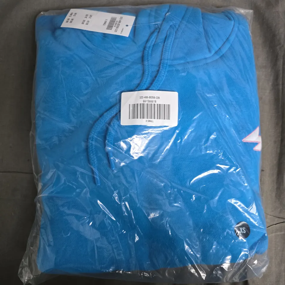 BAGGED HOLLISTER RELAXED ALPINE F1 GRAPHIC HOODIE - XS