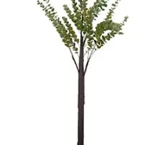 SARA BY SARA DAVIES PRE-LIT INDOOR OUTDOOR EUCALYPTUS TREE