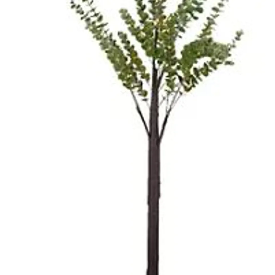 SARA BY SARA DAVIES PRE-LIT INDOOR OUTDOOR EUCALYPTUS TREE