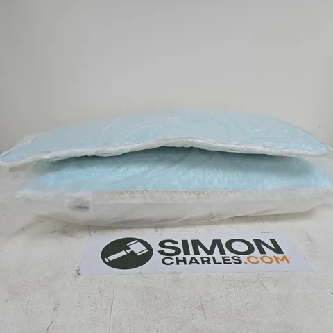 2 X PILLOWS