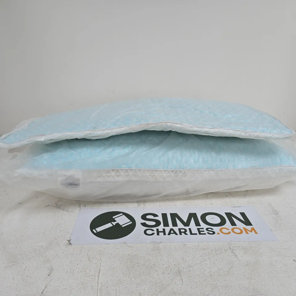 2 X PILLOWS