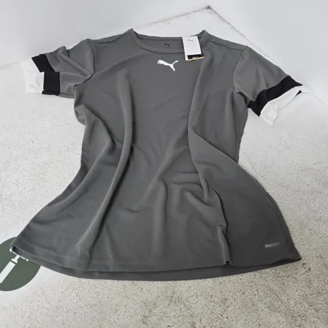 PUMA TEAMRISE JERSEY – GREY/BLACK, UK L (US L, EU L)