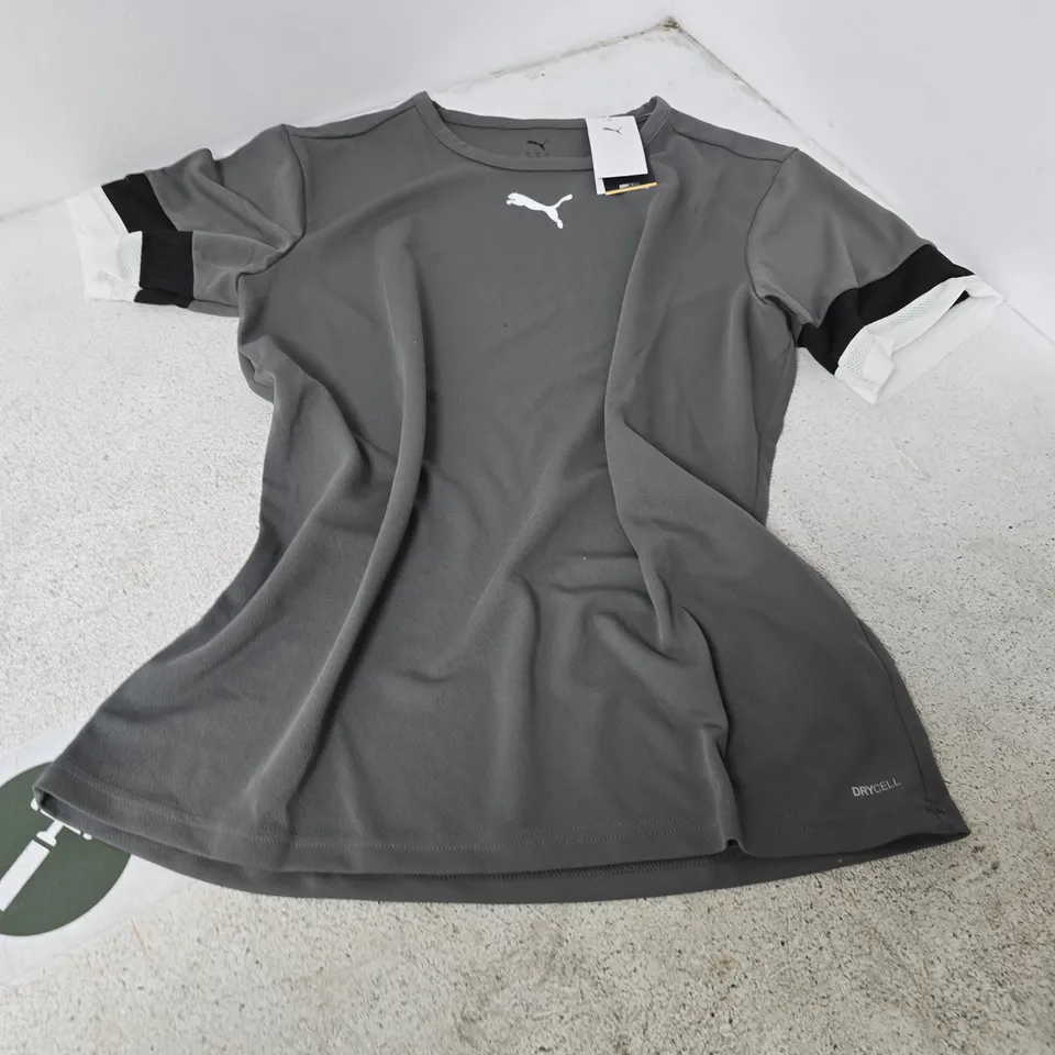 PUMA TEAMRISE JERSEY – GREY/BLACK, UK L (US L, EU L)