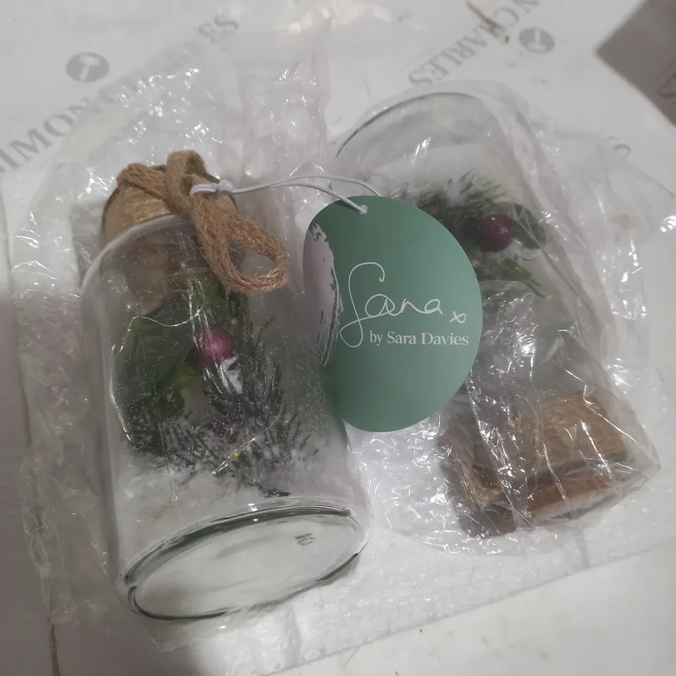 SARAH DAVIES SET OF 2 PRE LIT FOLIAGE GLASS JARS