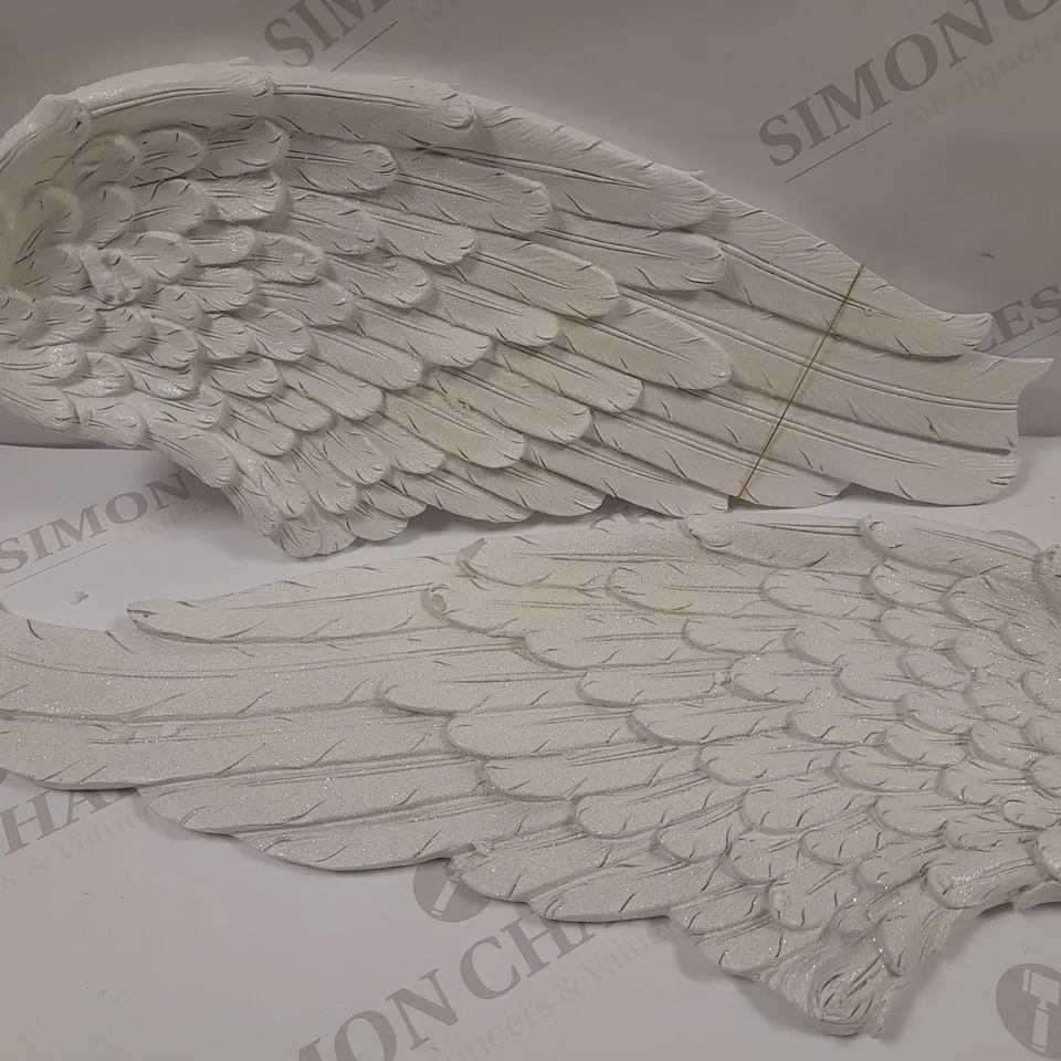 ANGEL WINGS SET RRP £59.99