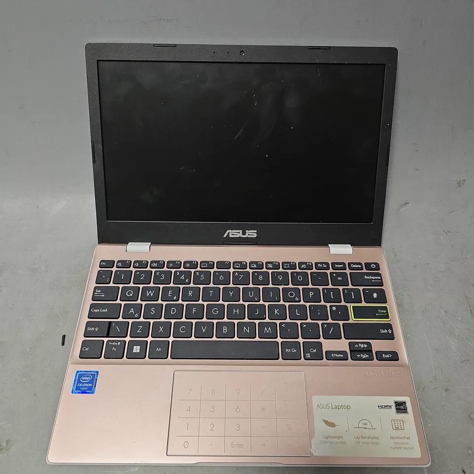 ASUS VIVOBOOK GO 12