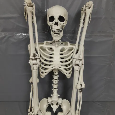 PLASTIC HALLOWEEN SKELETON