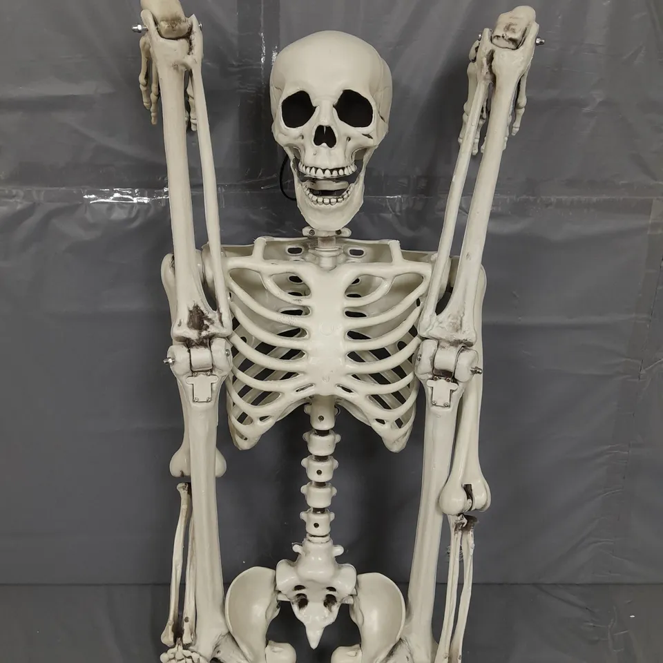 PLASTIC HALLOWEEN SKELETON