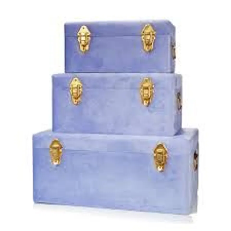 BUNDLEBERRY AMANDA HOLDEN SET OF 3 VELVET TOUCH TRUNKS CASES