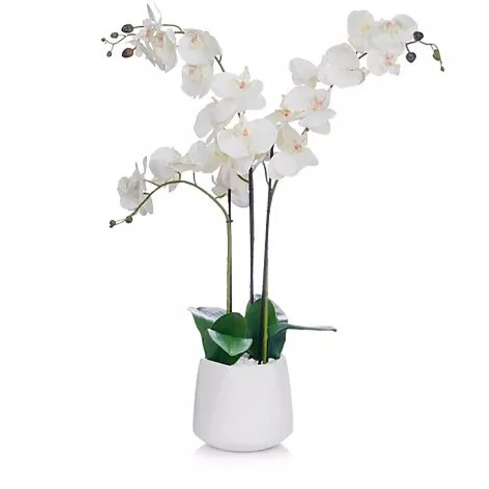 JM BY JULIEN MACDONALD MULTI STEM ORCHID IN WHITE GLAZED POT