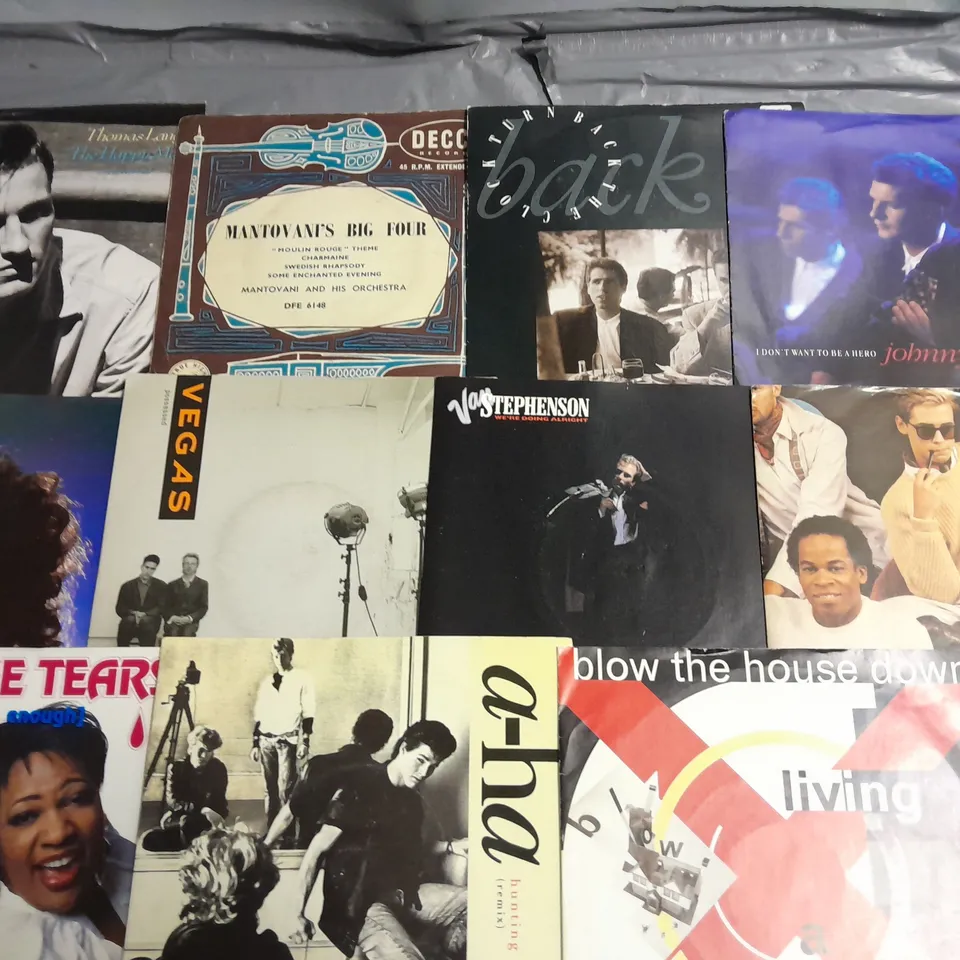 LOT OF 11 ASSORTED VINYL TO INCLUDE NO MORE TEARS, BARBARA ROY AND A-HA