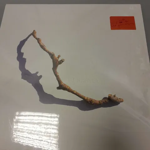 SEALED PJ HARVEY - I INSIDE THE OLD YEAR DYING VINYL