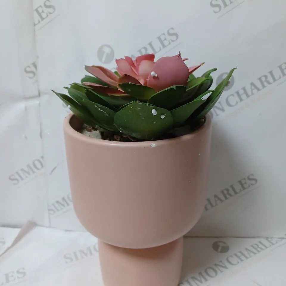 BUNDLEBERRY BY AMANDA HOLDEN STANDING PLANTER WITH LARGE SUCCULENT