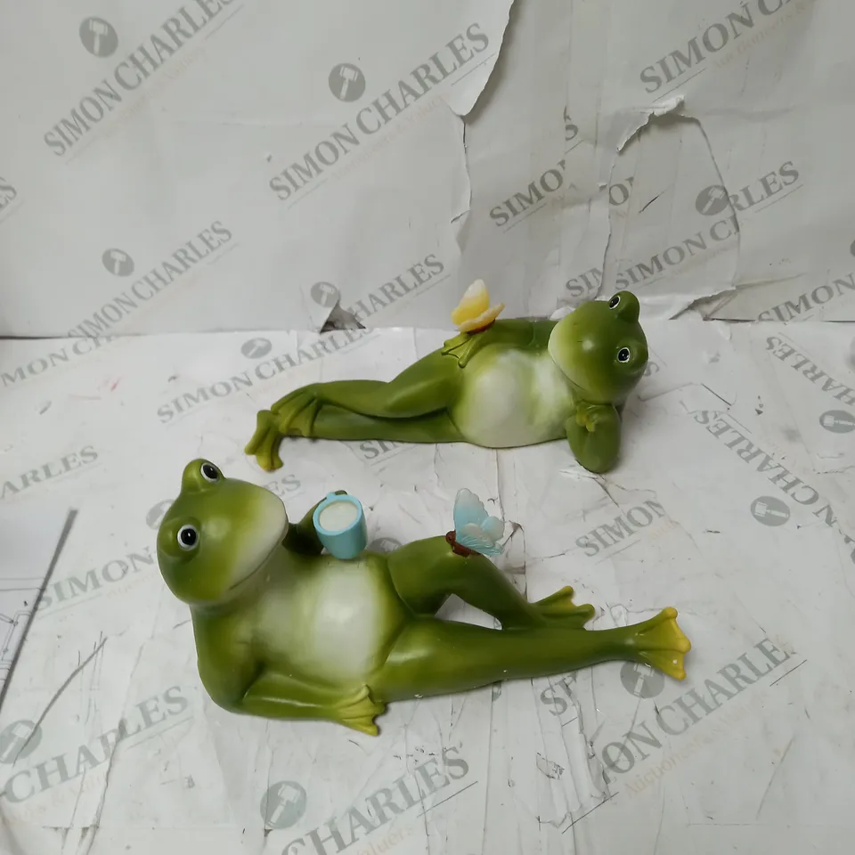 BOXED DECORATIVE LED FROGS