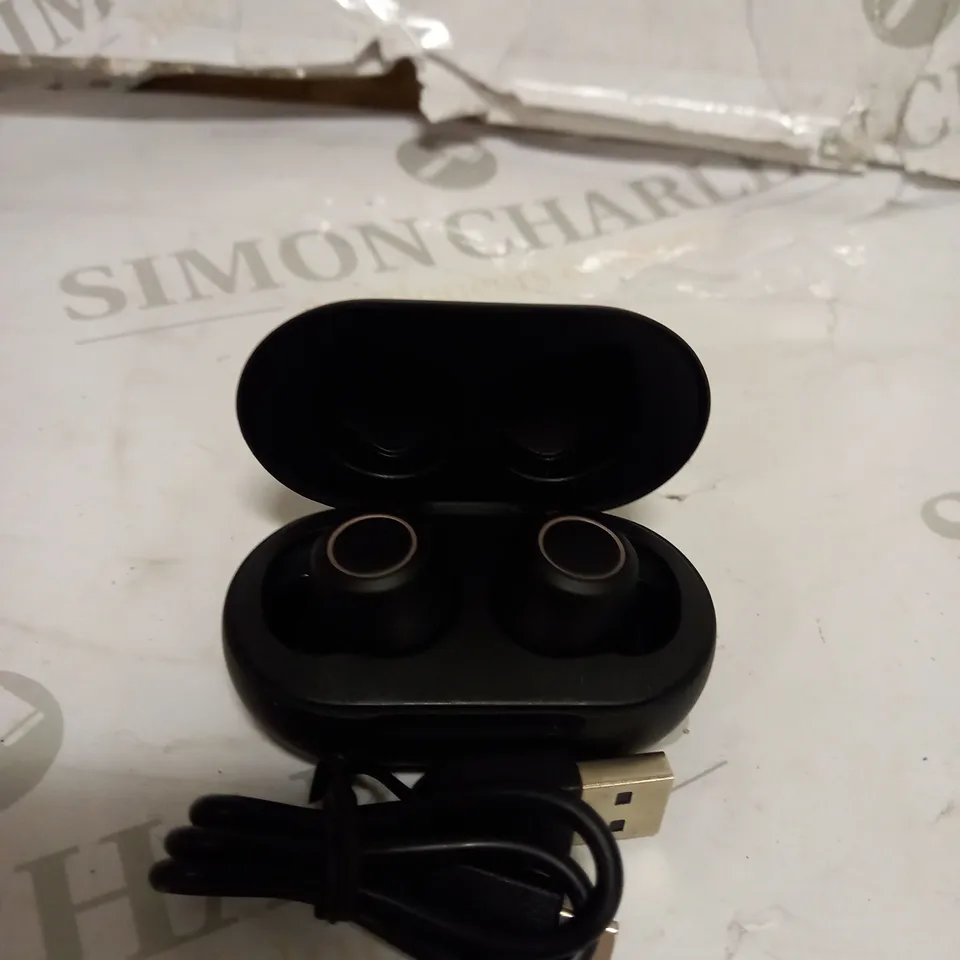BLUETOOTH TRUE WIRELESS EARBUDS 