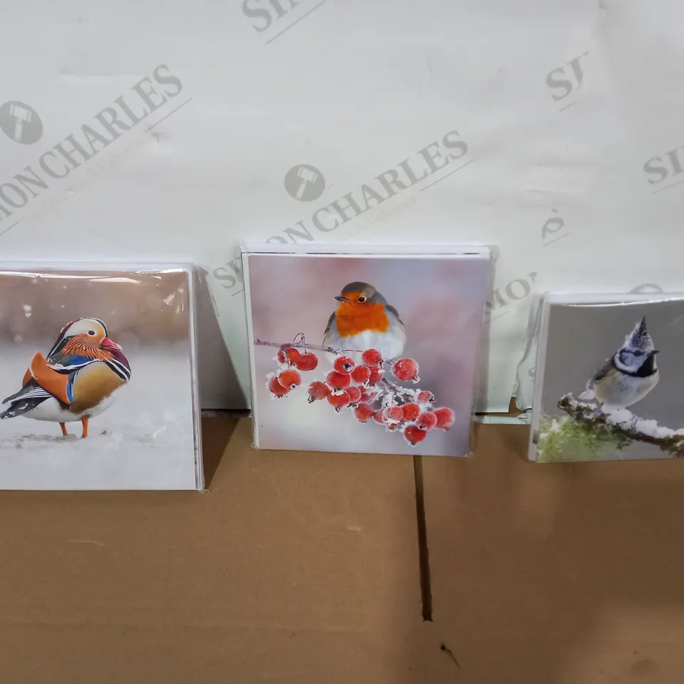 BOX OF A LARGE QUANTITY OF ASSORTED SETS OF THE WILDLIFE TRUSTS ECO FRIENDLY BIRD CARDS