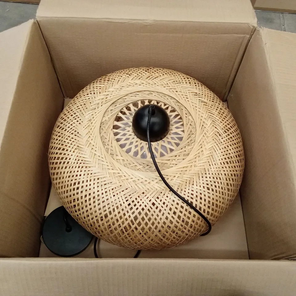 BOXED PEWAMO 1-LIGHT DOME GLOBE PENDANT 