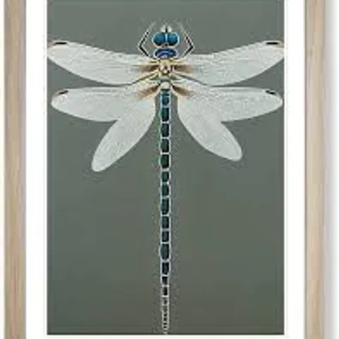 BREATHTAKING DRAGONFLY - SINGLE PICTURE FRAME PRINT