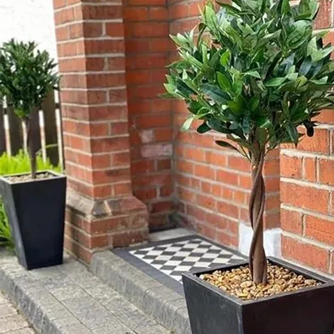 BOXED ARTIFICIAL TOPIARY BAY PAIR TWISTED LAUREL BALL TREE 120cm 4FT (1 BOX)