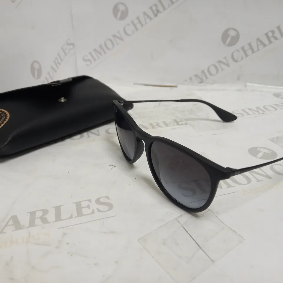 RAY-BAN STYLE ERIKA SUNGLASSES
