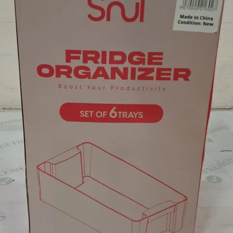 BOXED SET OF 6 FRIDGE ORGANIZER'S TRAYS