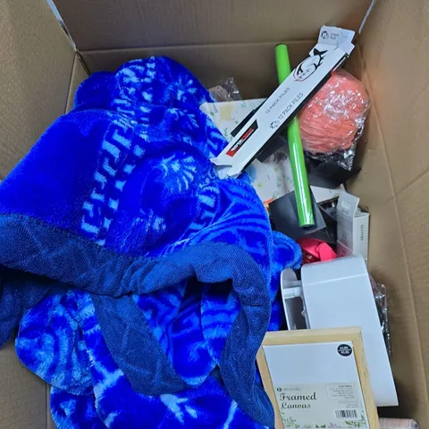 BOX OF APPROXIMATELY 15 ASSORTED ITEMS INCLUDING SHED LOCK , HARRIS WALL & CEILING BRUSH AND SMALL FRAMED CANVAS