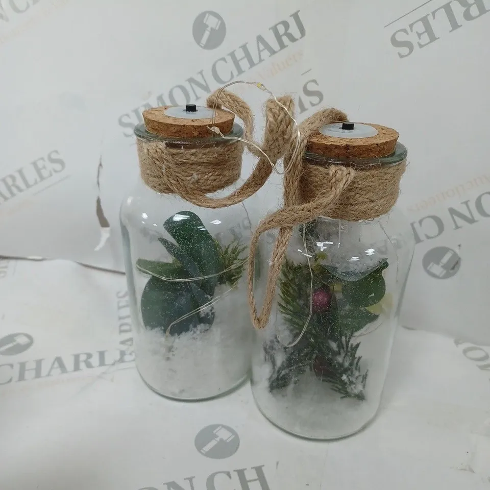 SARAH DAVIES SET OF 2 PRE LIT FOLIAGE GLASS JARS