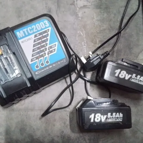 SET OF 2 18V LITHIUM-ION BATTERIES WITH CHARGER