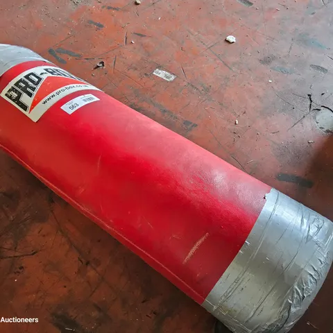 PRO-BOX PUNCH BAG