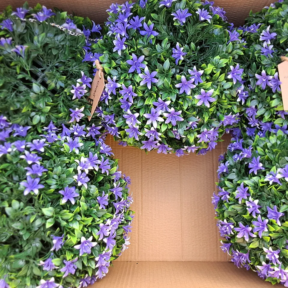 BOX OF APPROXIMATELY 6 BRAND NEW XP GARDEN PURPLE FLOWER BALL LILY 