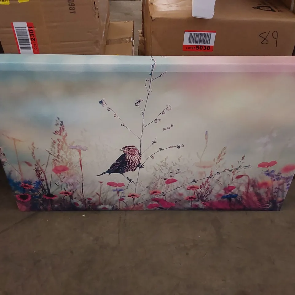 BOXED BIRD IN PARADISE WILD LIFE - WRAPPED CANVAS PHOTOGRAPH PRINT 