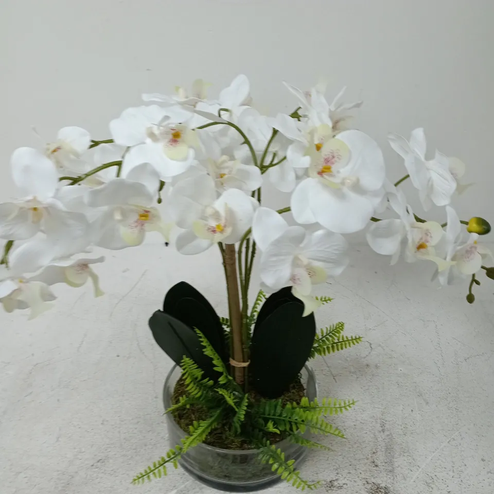 REAL TOUCH 5-STEM FAUX ORCHID WITH FERN IN GLASS POT