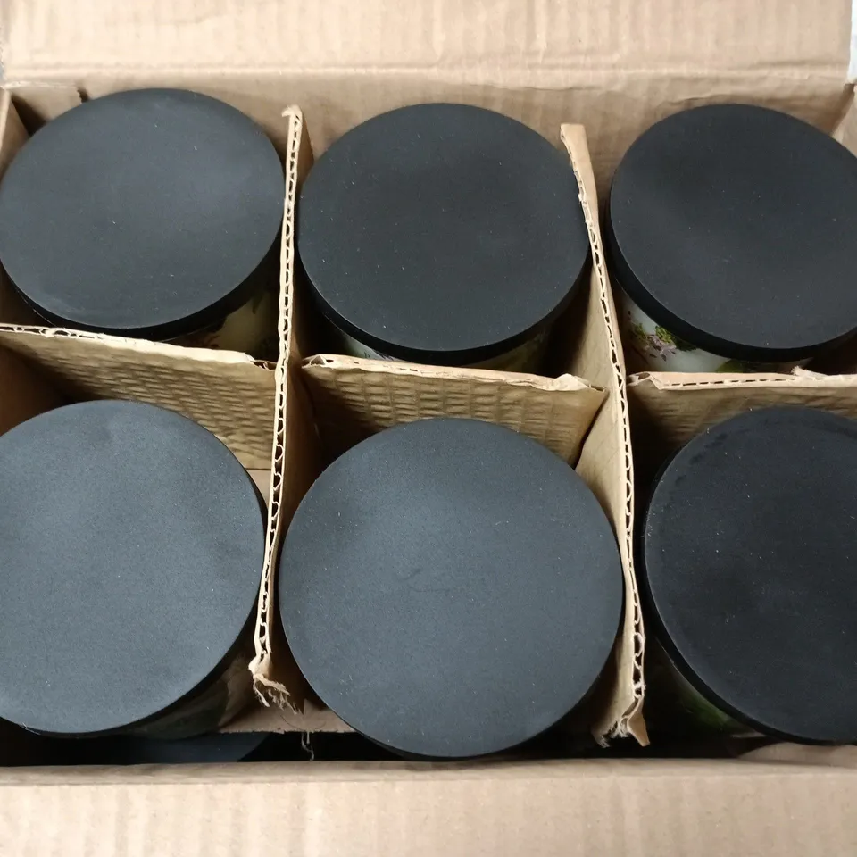 12 PECKSNIFF'S SWEET PEA & LARKSPUR CANDLES