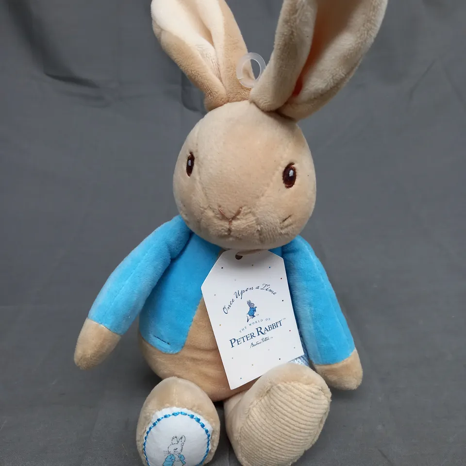 PETER RABBIT TEDDY