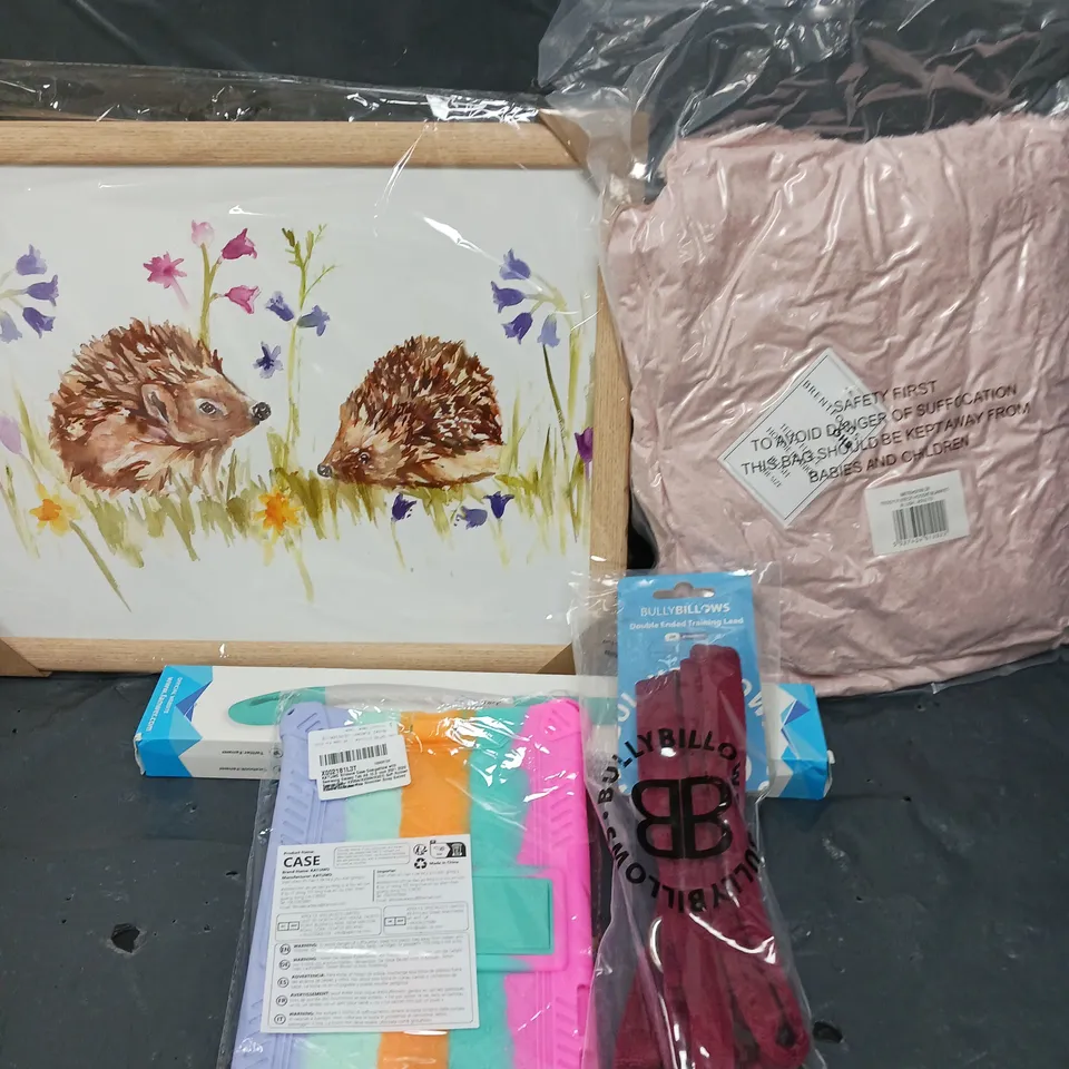 APPROXIMATELY 15 ASSORTED HOUSEHOLD PRODUCTS TO INCLUDE TABLET CASE, TEDDY FLEECE, TRAINING LEAD ETC 