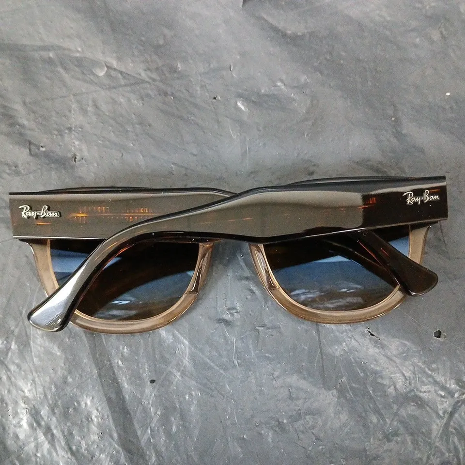 RAYBAN ROUNDED SUNGLASSES IN HAVANA