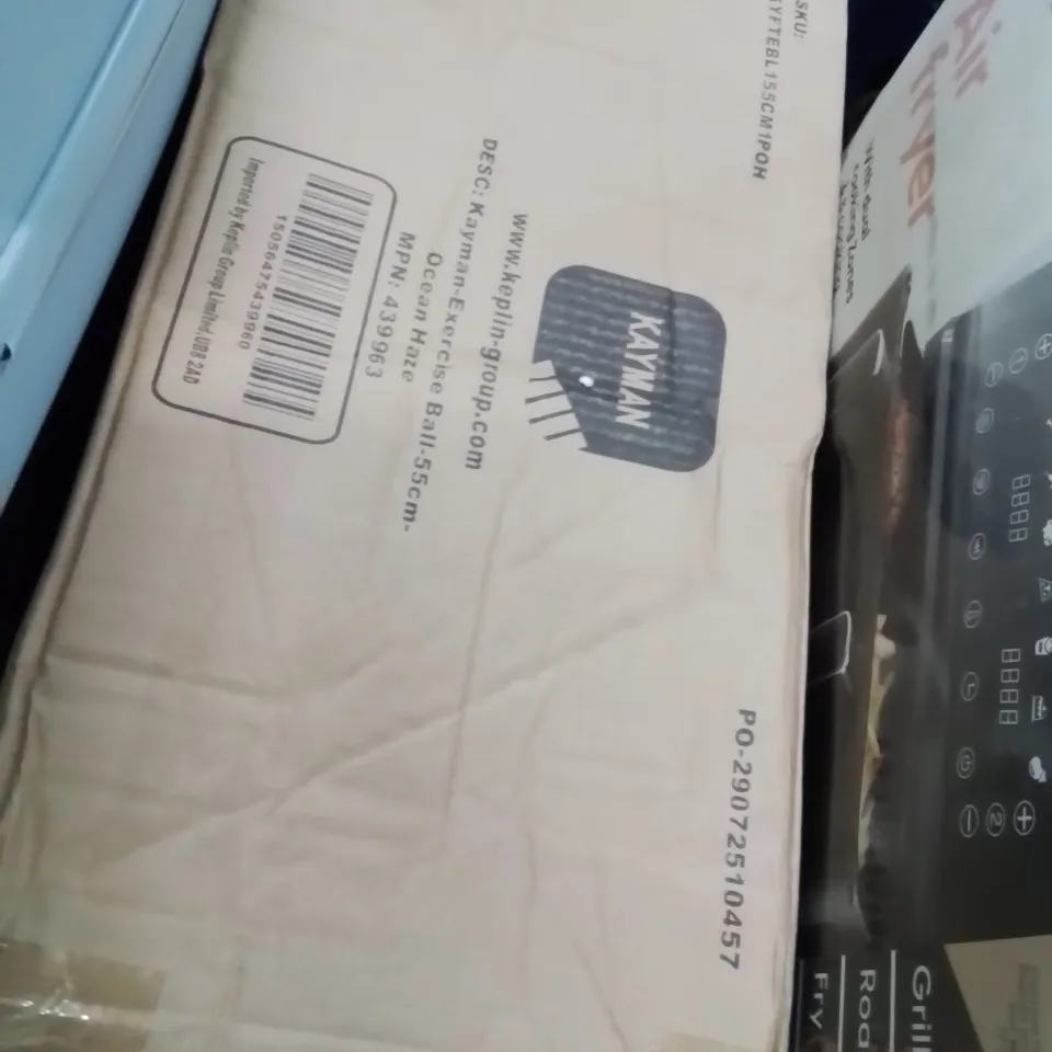 BOXED KAYMAN EXERCISE BALL 