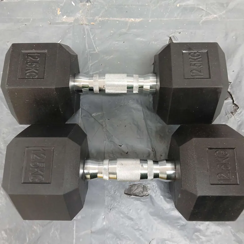 LOT OF 2 12.5KG DUMBELLS