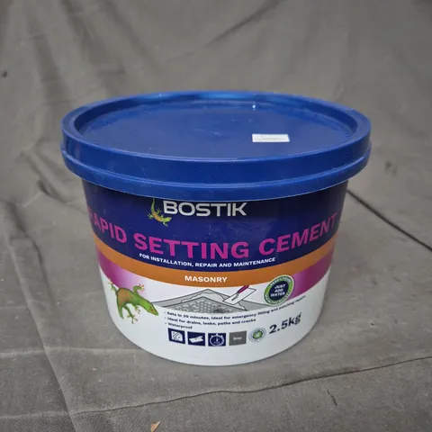 BOSTIK RAPID SETTING CEMENT - MASONRY - 2.5KG