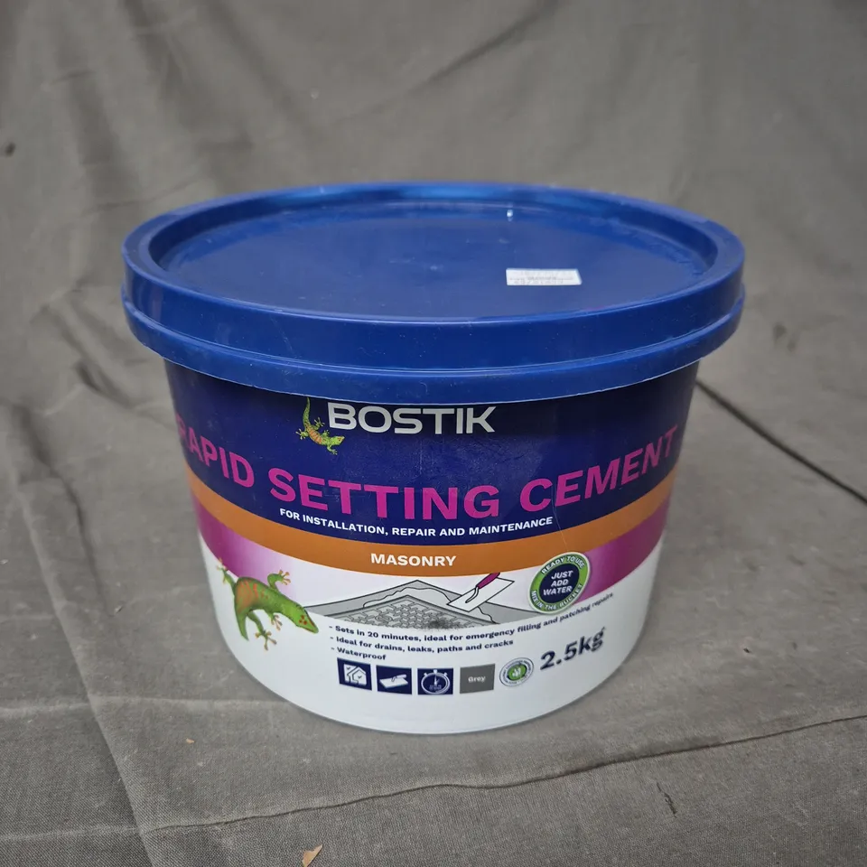 BOSTIK RAPID SETTING CEMENT - MASONRY - 2.5KG