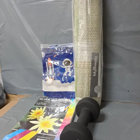 APPROXIMATELY 15 ASSORTED HOUSEHOLD ITEMS TO INCLUDE RUG, DUMBBELL CANVAS INKJET PAPER, ETC - COLLECTION ONLY