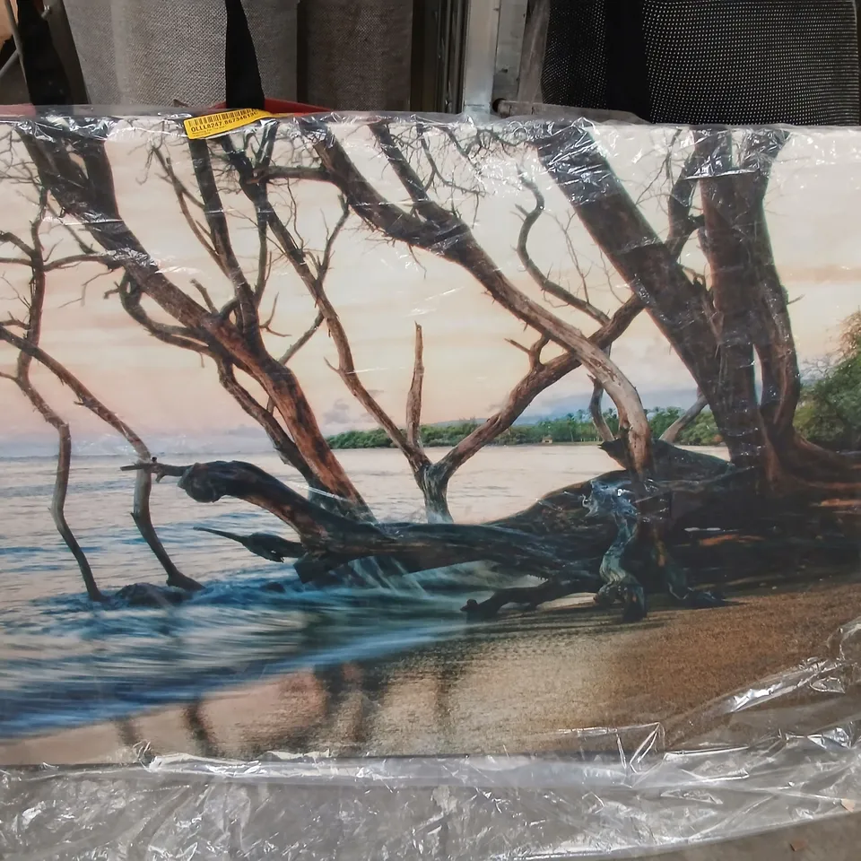 REACHING FOR THE SEA CANVAS PRINT