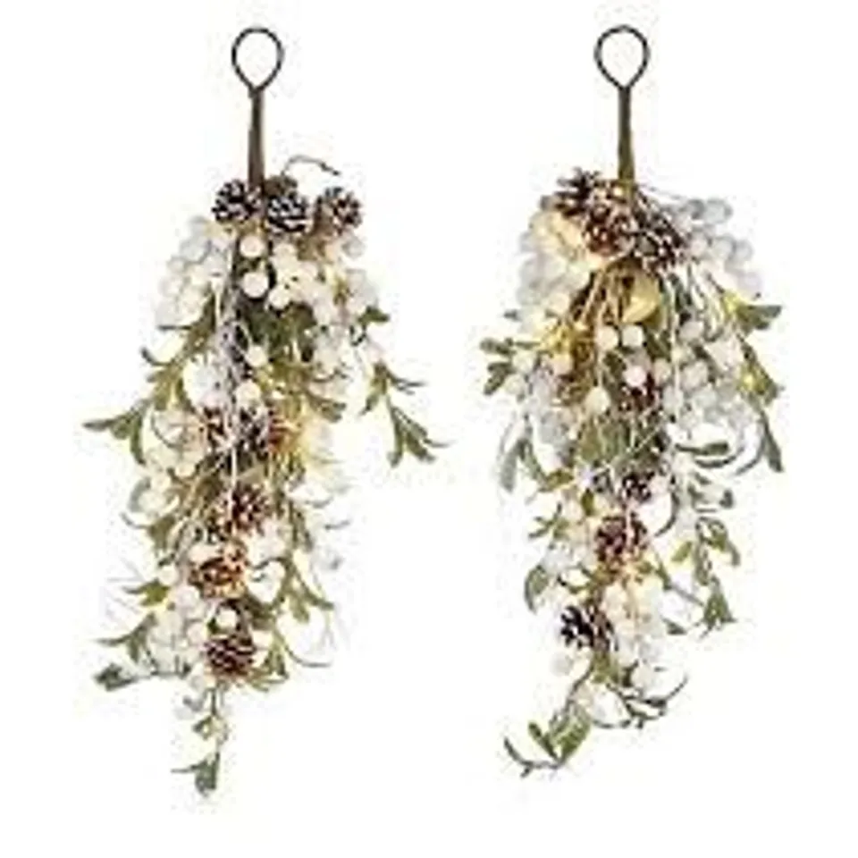SARA DAVIS PRE LIT SET OF 2 70CM FROSTED MISTLETOE