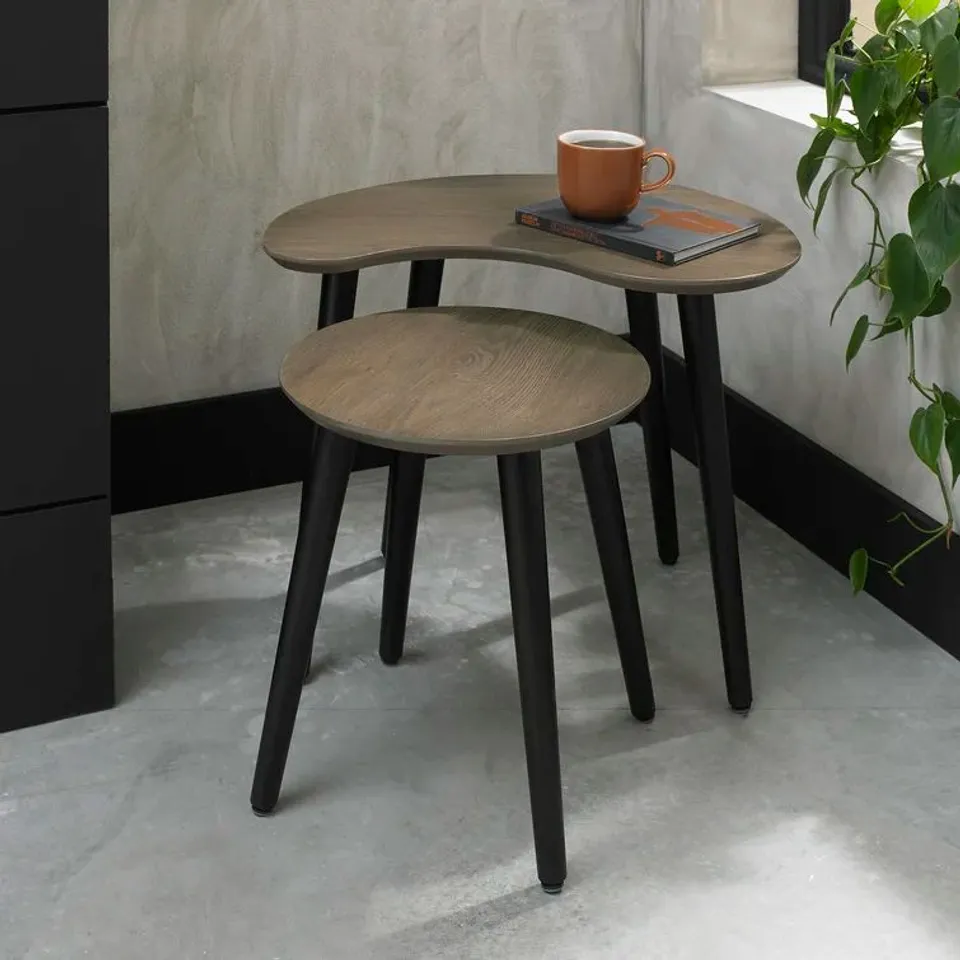 BOXED EMMANUELLE 2 PIECE NEST OF TABLES 