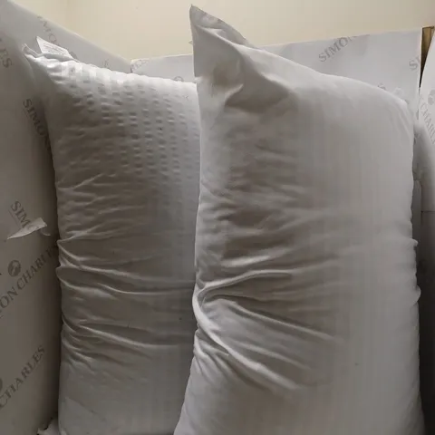 UNBRANDED SET OF 2 WHITE PILLOWS