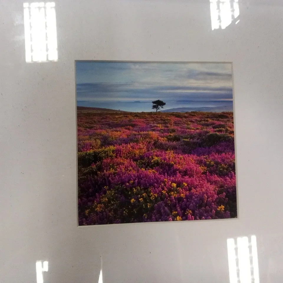 2 ASSORTED FRAMED PHOTOGRAPHS TO INCLUDE; THORNEYTHWIATE FARM, BORROWDALE, CUMBRIA AND BEACON HILL